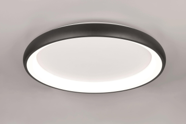 TRIO Deckenleuchte CARDONA 59W 649617532 