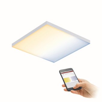 Paulmann WallCeilingVelora LED     79825 