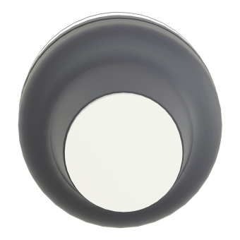 GS Drucktaste WS                XACB9211 