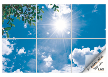 LAS Dekofolie m.individuellem LS-FOLIE66 