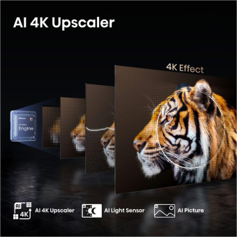 Hisense 65E77Q Pro sw QLED-TV 