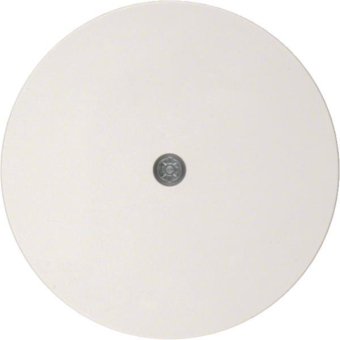 Berker Zentralstück             10192089 