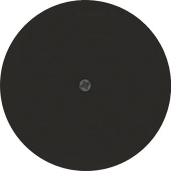 Berker Zentralstück             10192045 