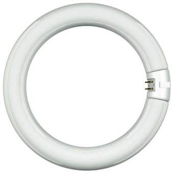 SUH Leuchtstofflampe Ringform      68326 