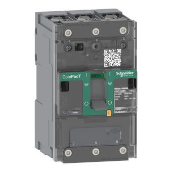 Schneider Lasttrennschalter    C113100BS 