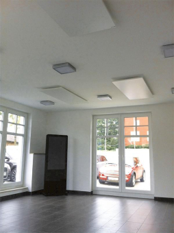 ETHE Heizpaneel 0.35kW  LAVA-BASIC-350DM 