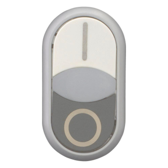 EATON M22-DDLF-WS-X1/X0           284816 