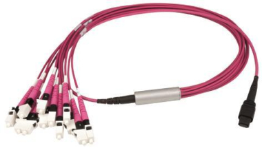 TEGA MPO Harness 12x2,1mm    L00831A0028 