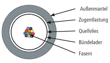 TEGA L08021D0305 LWL           100013410 