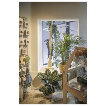 SLV IN-LINE 44 , opal, DALI,     1006624 