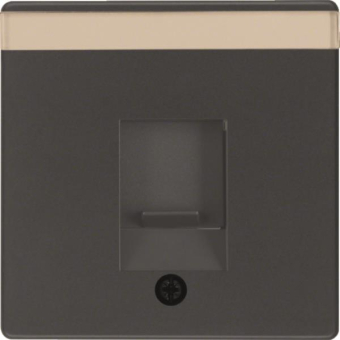 Berker Zentralstück             11706086 