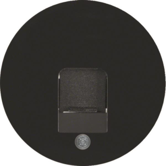 Berker Zentralstück             11702045 