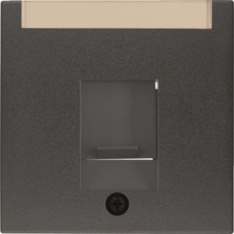 Berker Zentralstück m.Staub-    11701606 