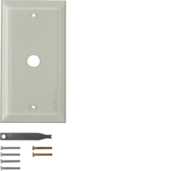 BER TS Glasabdeckplatte             1311 