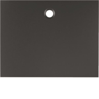 Berker Zentralstück f.Zug-      11477006 