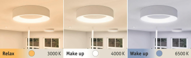 Paulmann WallCeiling HomeSpa Casca 78947 