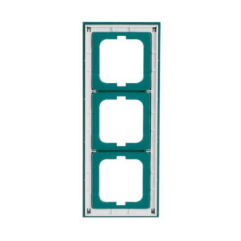 BJ Axcent Rahmen                1723-286 