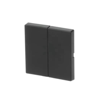 BJ FoH-Bedienelement 2fach  6736 FoH-885 
