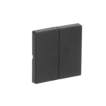 BJ FoH-Bedienelement 2fach  6736 FoH-885 