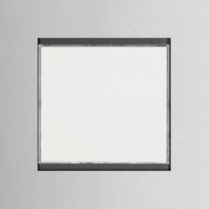 ELCOM Ruftast.Modul 1/1          REN101Y 