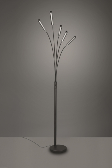 Trio LED-Stehleuchte REED, 5x  R41031532 