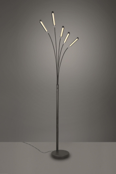 Trio LED-Stehleuchte REED, 5x  R41031532 