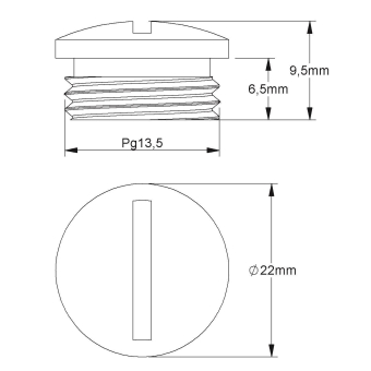 Kleinhuis Verschlussschraube     1514/13 