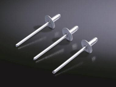 Rittal Aluminium-Niet 1=100   TS 8800531 