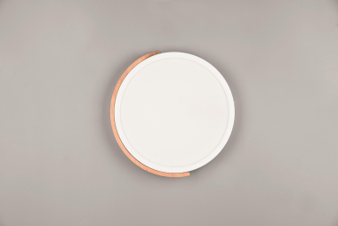 Trio LED-DL JANO, 20W,         R67201131 