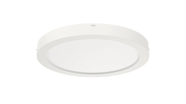 RIDI Sanierungsdownlight SARA220 0322094 