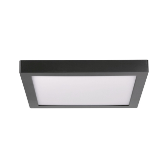 Paulmann WallCeiling Abia          70985 