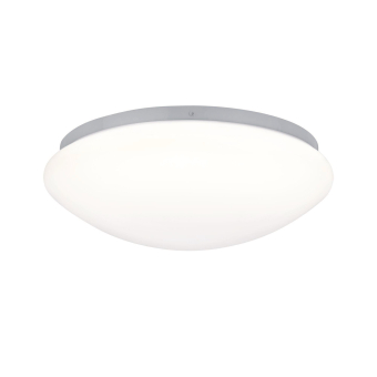 Paulmann WallCeiling Leonis IP44   70980 