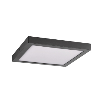 Paulmann WallCeiling Abia          70985 