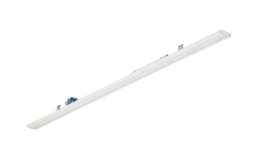 Philips LL551X 80S/840 NE DIA   95496000 