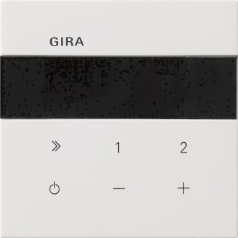 GIRA 2320112 UP-Radio IP Flächenschalter 