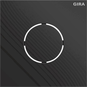 GIRA 5578925 Frontplatte Sprachmodul 