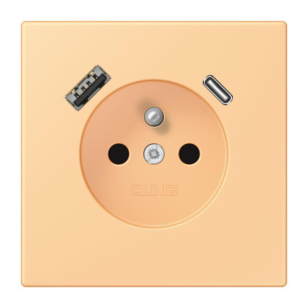 Jung Steckdose       LC 1520 F-15 CA 258 