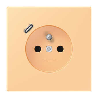 Jung Steckdose        LC 1520 F-18 C 258 