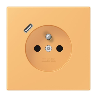 Jung Steckdose        LC 1520 F-18 C 254 