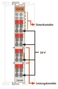 WAGO 750-603 Potentialvervielfältigung, 