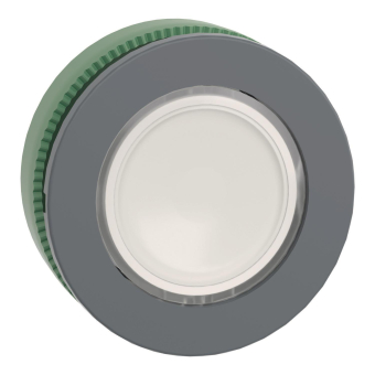 Schneider Leuchtdrucktaster     ZB5FW313 