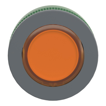 Schneider Leuchtdrucktaster     ZB5FW353 