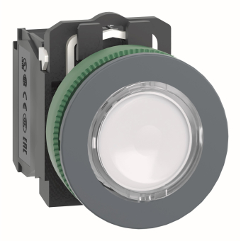 Schneider Leuchtdrucktaster    XB5FW31M5 