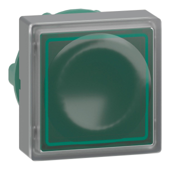 GS Leuchttaster flach           ZB5CW333 