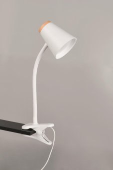 Trio LED Klemmleuchte PONGO,   R25831101 
