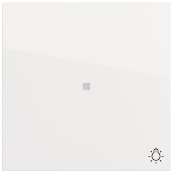 GIRA 367470 Wippe Kontrollf.+Symb.Licht 
