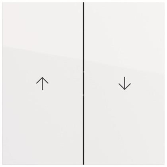 GIRA 329470 Wippe 2f Pfeil 