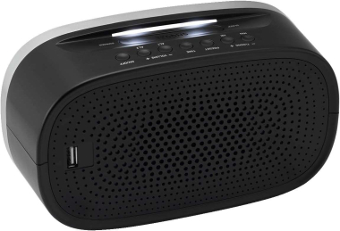 Grundig Sonoclock 3100 Uhrenradio sw 