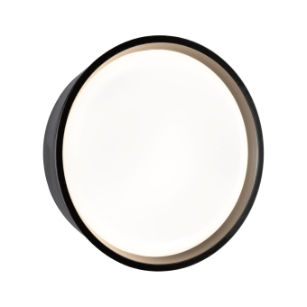 Paulmann Outdoor Wandleuchte       94696 