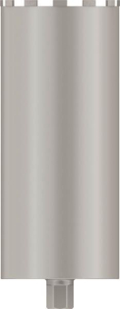 Bosch 2608601744         DIA BK NASS Ø20 